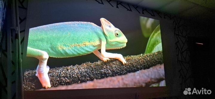 Ультра короткофокусный проектор optoma