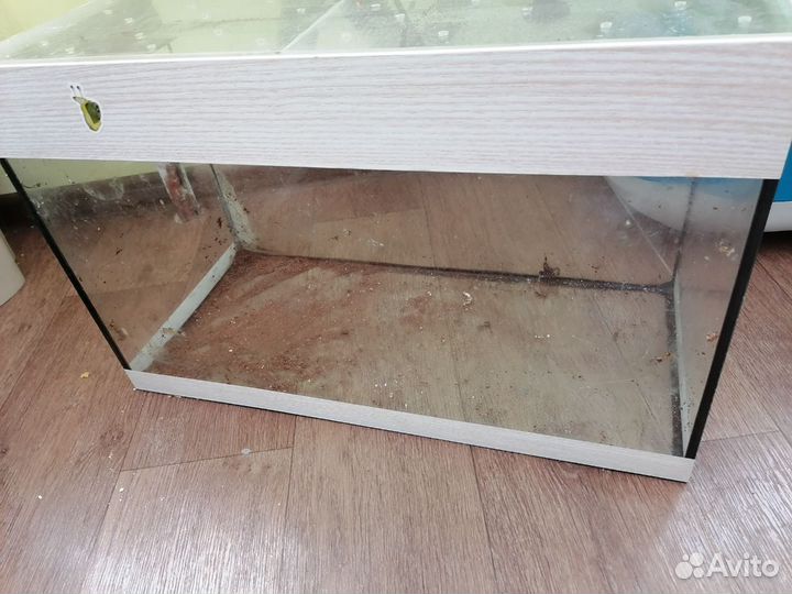 Аквариум для улиток Ахатин