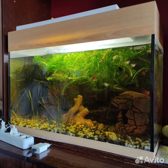 Аквариум
