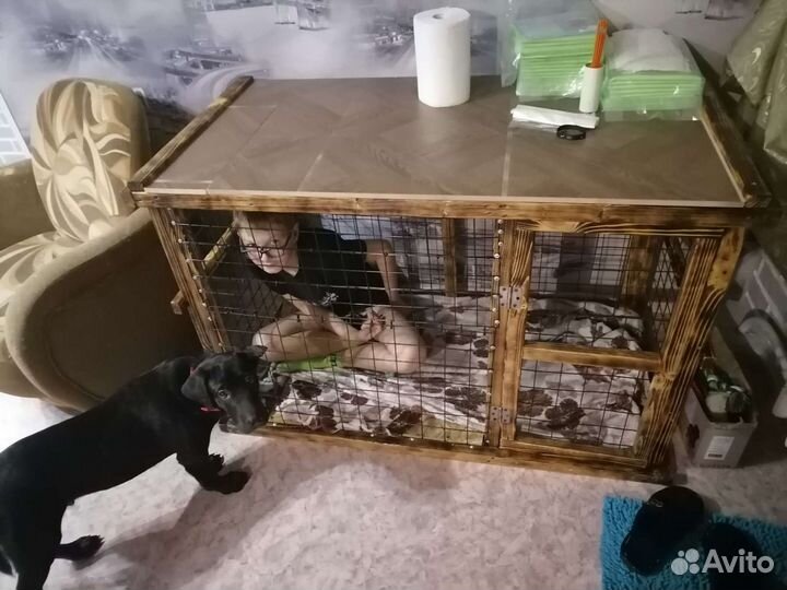 Клетка для собак