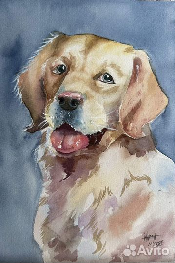 Портрет питомца по фото