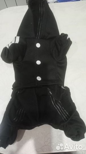 Одежда для собак