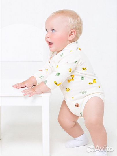 Боди