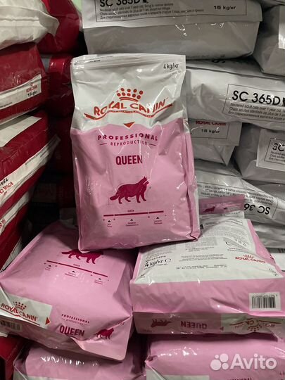 Корм сухой доя кошек Royal Canin Queen 4 кг