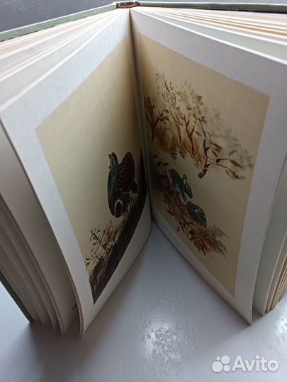 Книга Мир Чарушина 1980 год