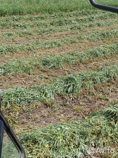 Сено в тюках