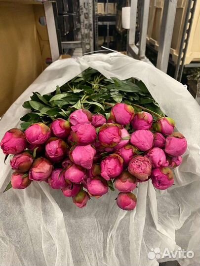 Цветы. Букеты. Доставка