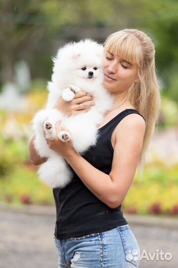 Услуги кинолога