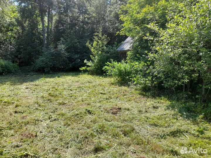 Покос травы