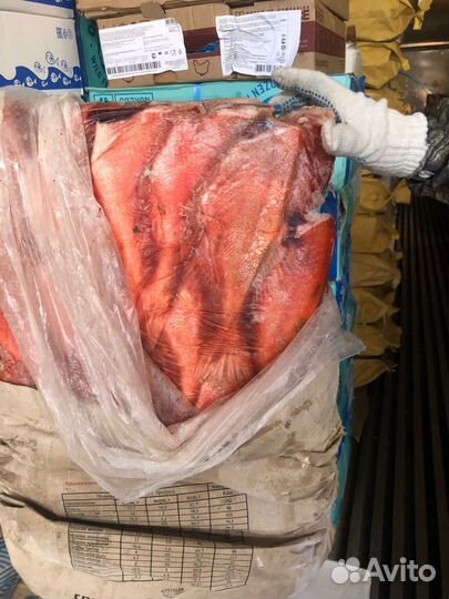 Окунь морской (без головы)