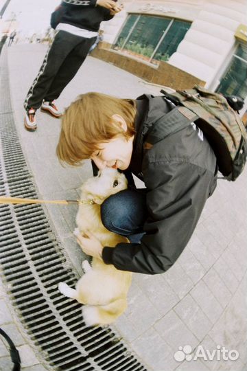 Прогулка с собакой (догситтер)