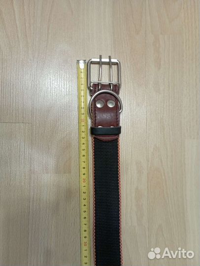 Ошейник для Вашей собаки