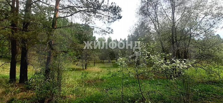 Участок 3,5 га (СНТ, ДНП)
