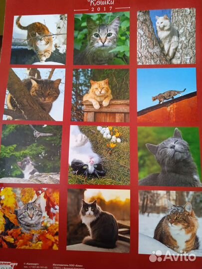 Календари прошлых лет