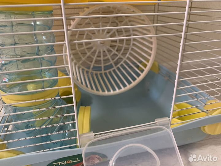 Клетка для джунгарского хомяка