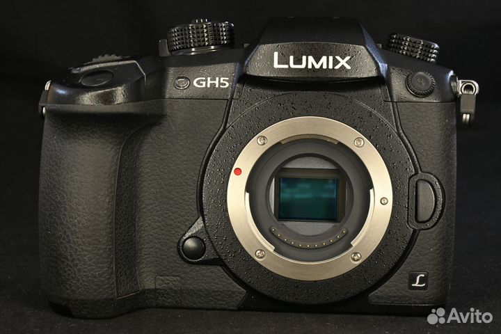 Panasonic GH5 body пробег 10600