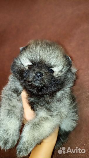 Невероятно красивые-реальные помдетки