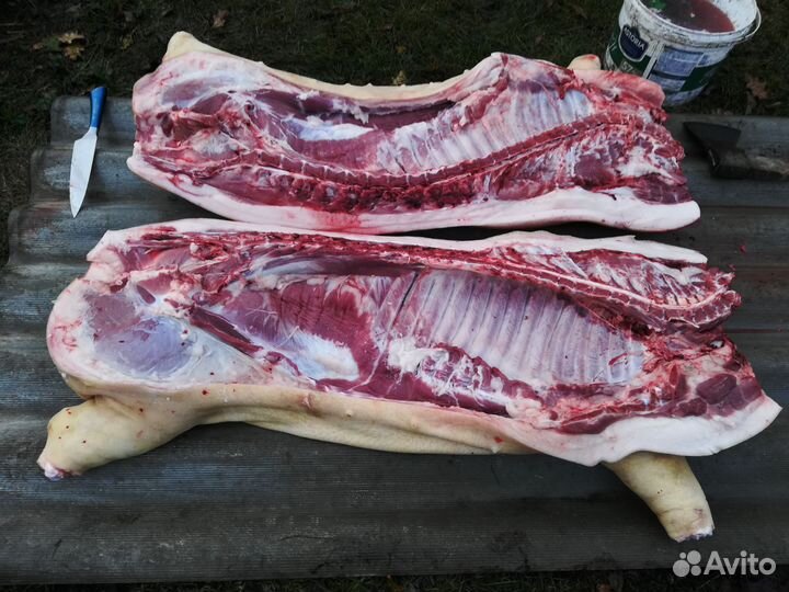 Мясо свинина домашняя
