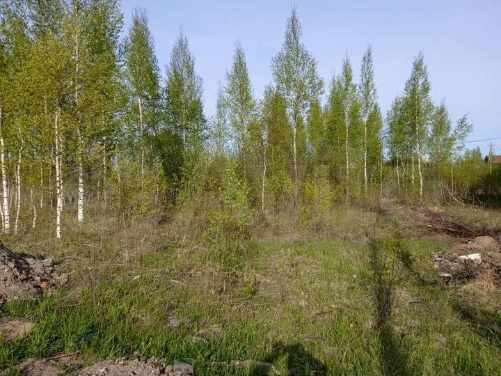 Участок 12 сот. (ИЖС)