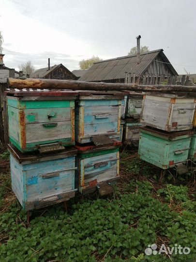 Улий для пчёл б/у