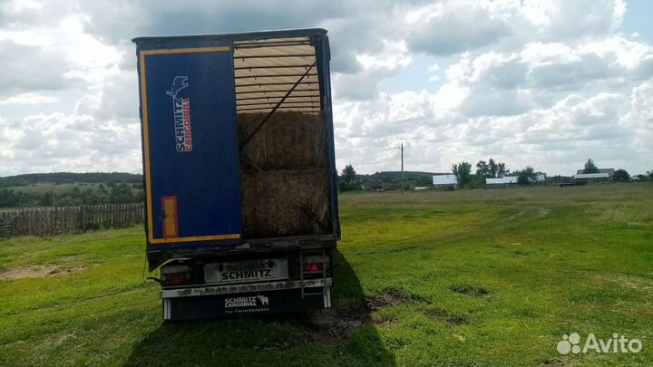 Продам сено в рулонах