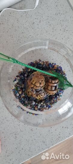 Аквариум на 7 литров