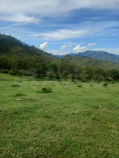 Участок 2,21 га (ИЖС)