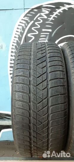 Pirelli Scorpion Winter RFT 255/50 R19