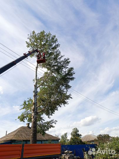 Профессиональный спил деревьев