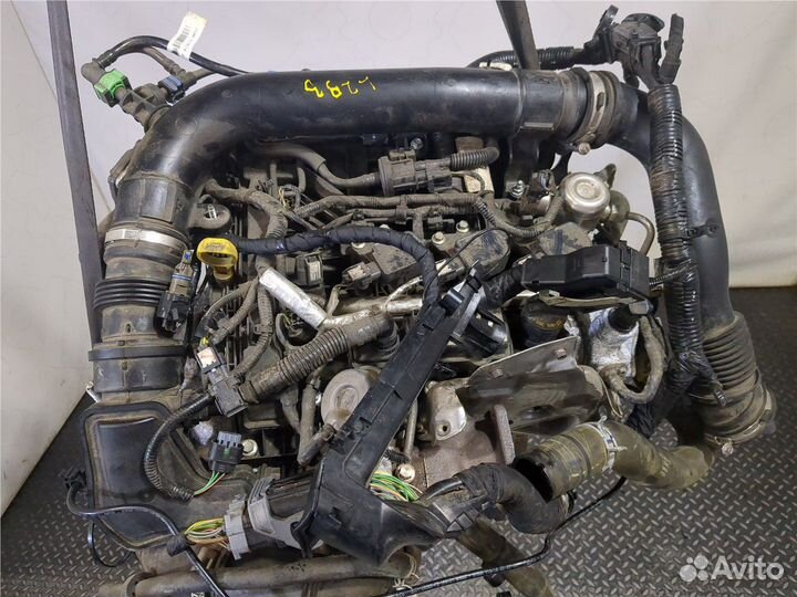 Двигатель Ford EcoSport 2017, 2018