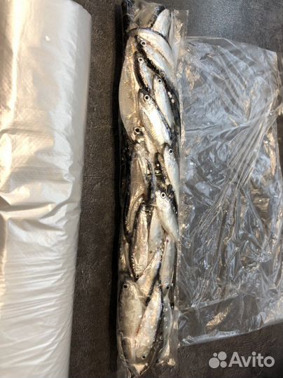 Охота и рыбалка