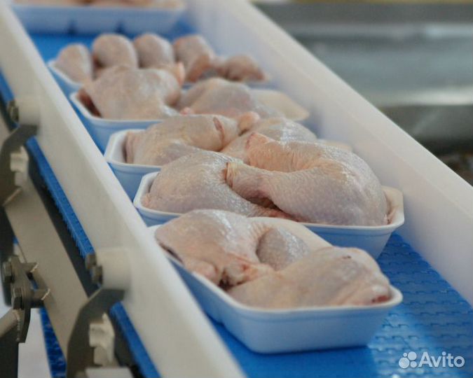 Вахта в Башкирии.Фасовщики(цы) куриных полуфабрикт