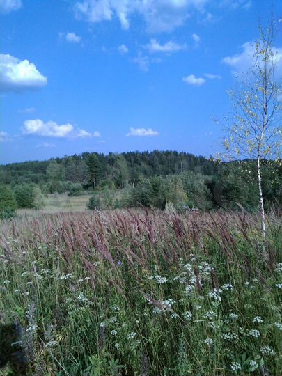 Участок 1,6 га (СНТ, ДНП)