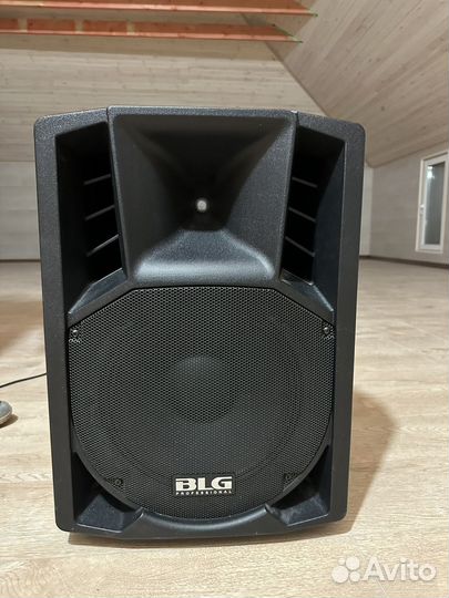 Музыкальная профессиональная колонка