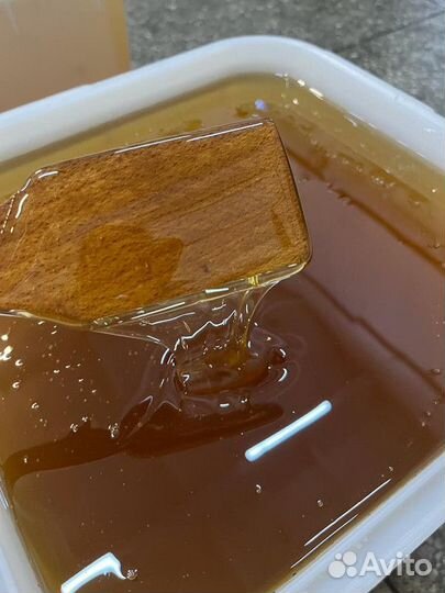 Мёд оптом майский