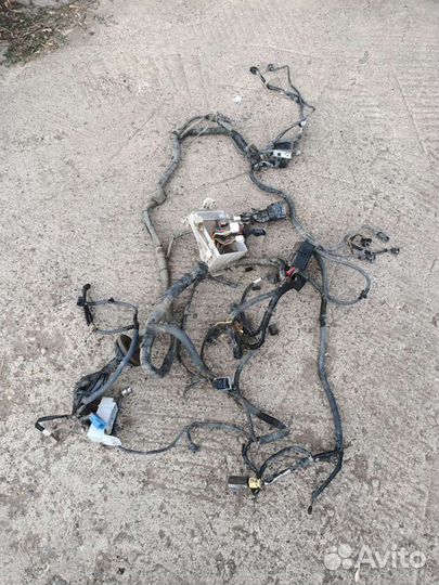 Жгут проводов/проводка подкапотная Nissan Tiida