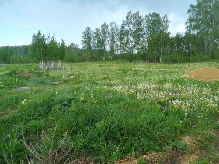 Участок 21 сот. (СНТ, ДНП)