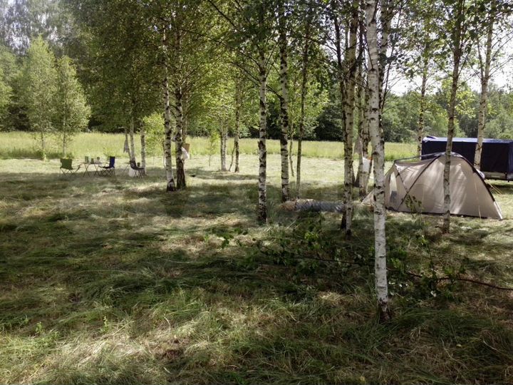 Участок 12 сот. (СНТ, ДНП)