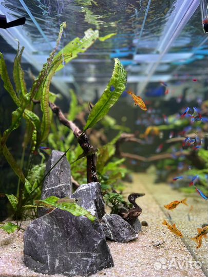 Аквариум с тумбой 300 литров