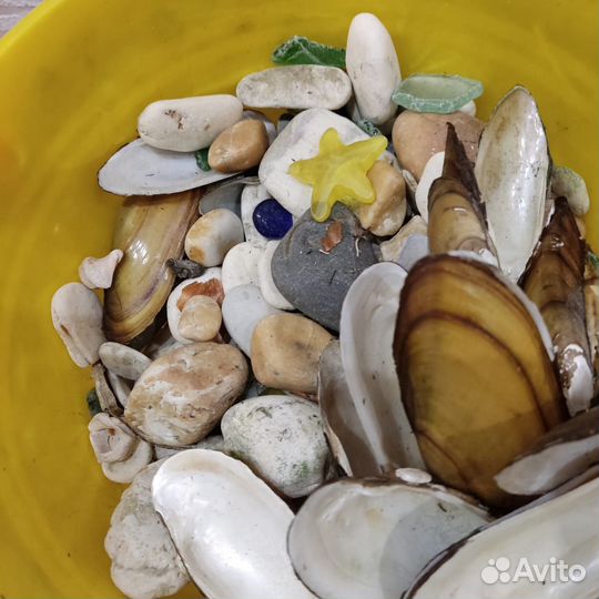 Все для аквариума