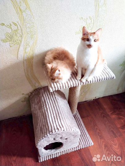 Кошачий домик с когтеточкой 