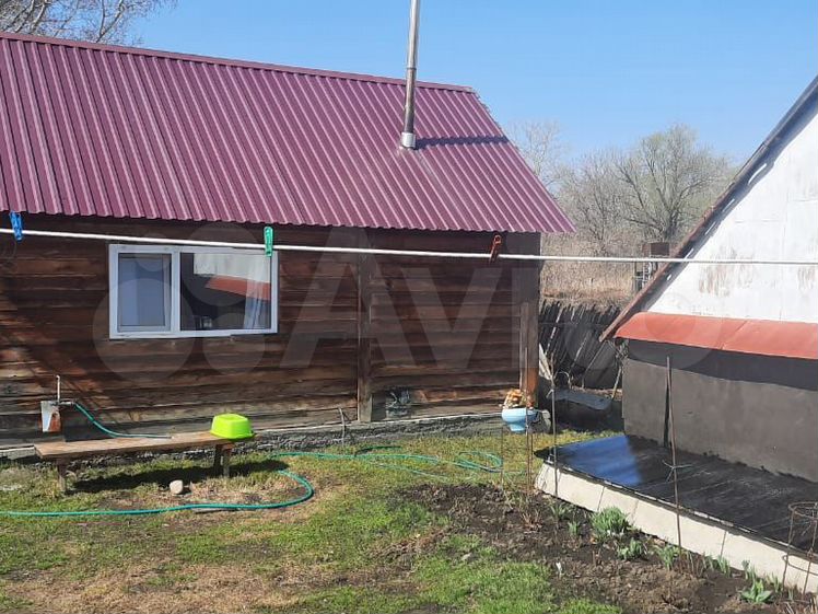 пчелы улья пасеку - Дома, дачи, коттеджи 🏡 во всех регионах: купить,  продать или снять | Загородная недвижимость во всех регионах | Авито