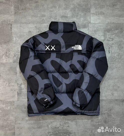 Куртка the north face kaws