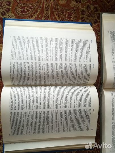 Словарь С. Ожегов и иностранных слов