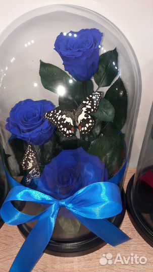 Роза в колбе