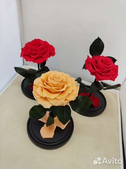 Роза в колбе опт и розница