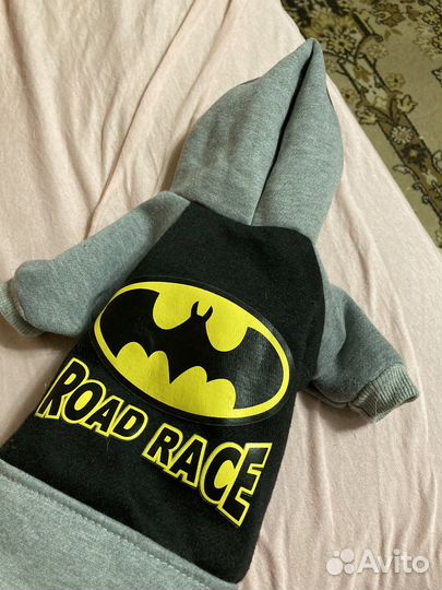 Одежда для собак