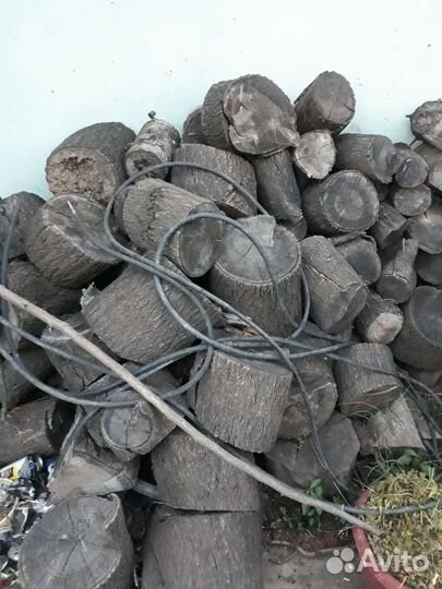 Поленья абрикос