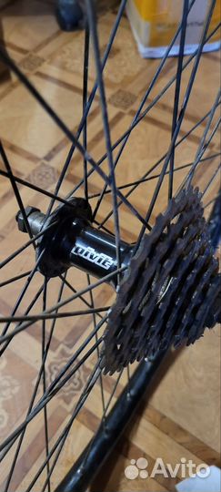 Полный вилсет