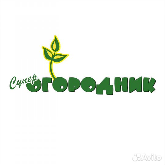 Грузчик с ежедневной оплатой 4 часа в день